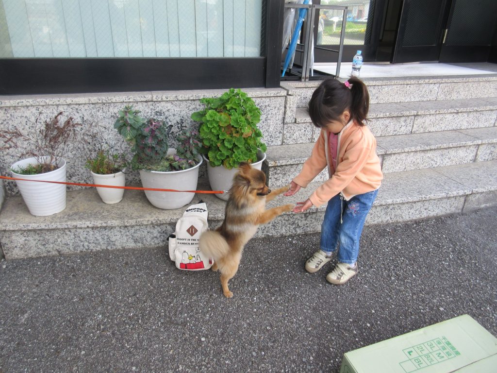 画像１