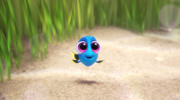 baby dory